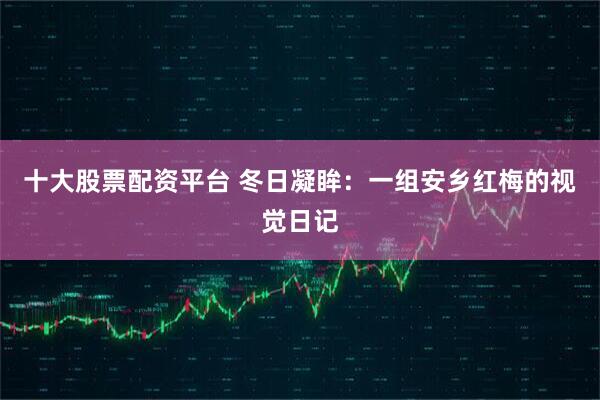 十大股票配资平台 冬日凝眸：一组安乡红梅的视觉日记